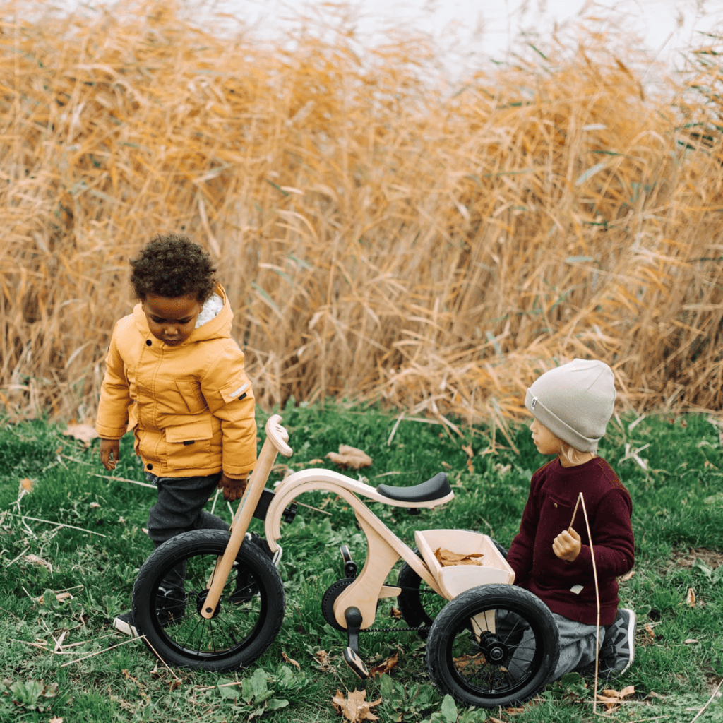 Tricycle Stable pour Enfant 2-4 ans – Accessoire pour Draisienne leg&go