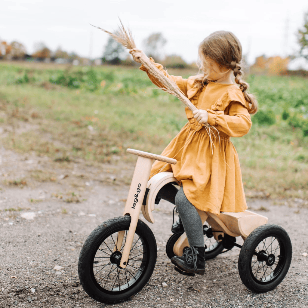 Tricycle Stable pour Enfant 2-4 ans – Accessoire pour Draisienne leg&go
