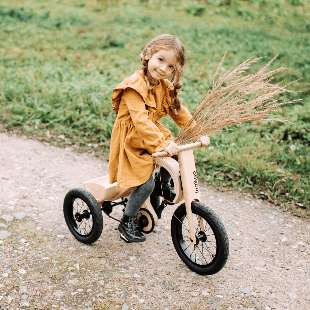 Draisienne Évolutive 3 en 1 en Bois leg&go – Vélo Enfant Léger & Durable – Montessori pour enfant – photo 18