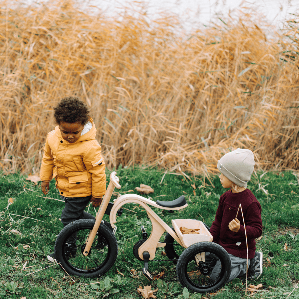 Draisienne Évolutive 3 en 1 en Bois leg&go – Vélo Enfant Léger & Durable – Montessori pour enfant – photo 19