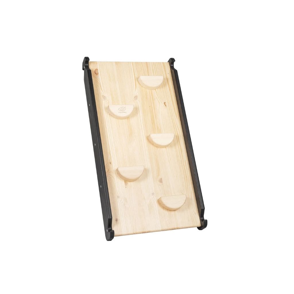 Échelle avec Toboggan & Mur d’Escalade – Noir Montessori