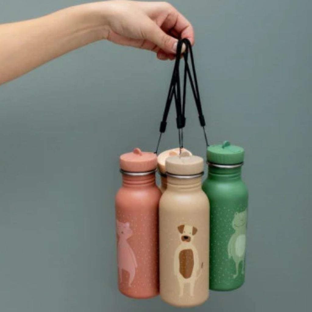 Ma Première Gourde Mr Dog  - Inox 500ml