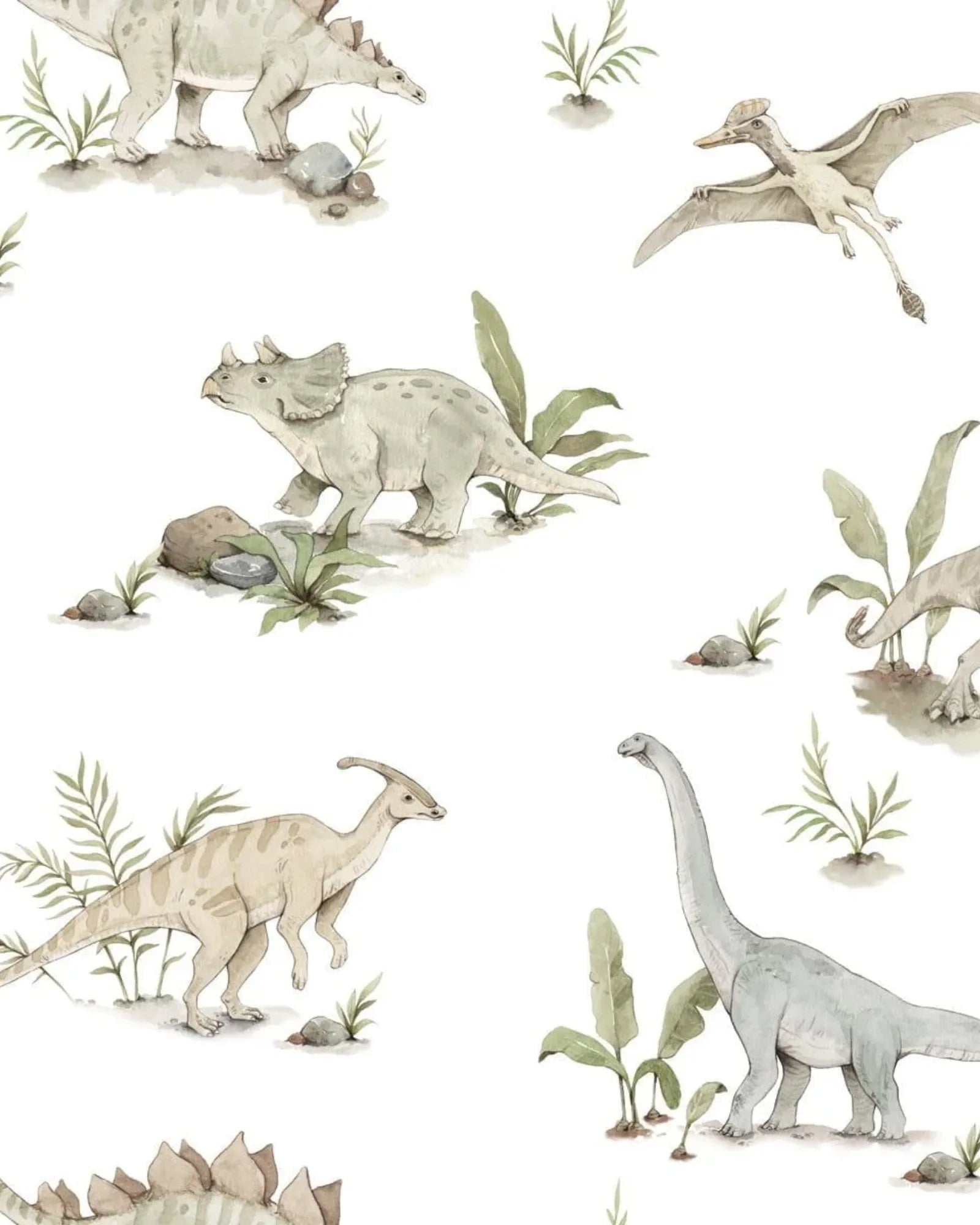 Papier Peint Joyeux Dinosaures – Chambre Garçon – Montessori pour enfant – photo 1