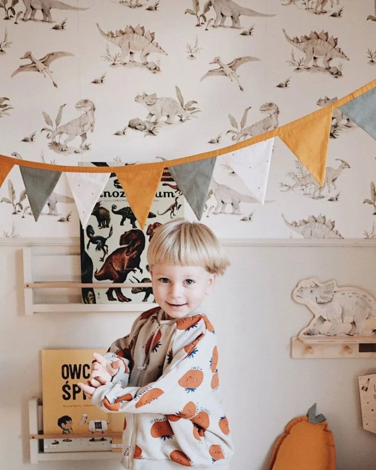 Papier Peint Joyeux Dinosaures – Chambre Garçon – Montessori pour enfant – photo 8