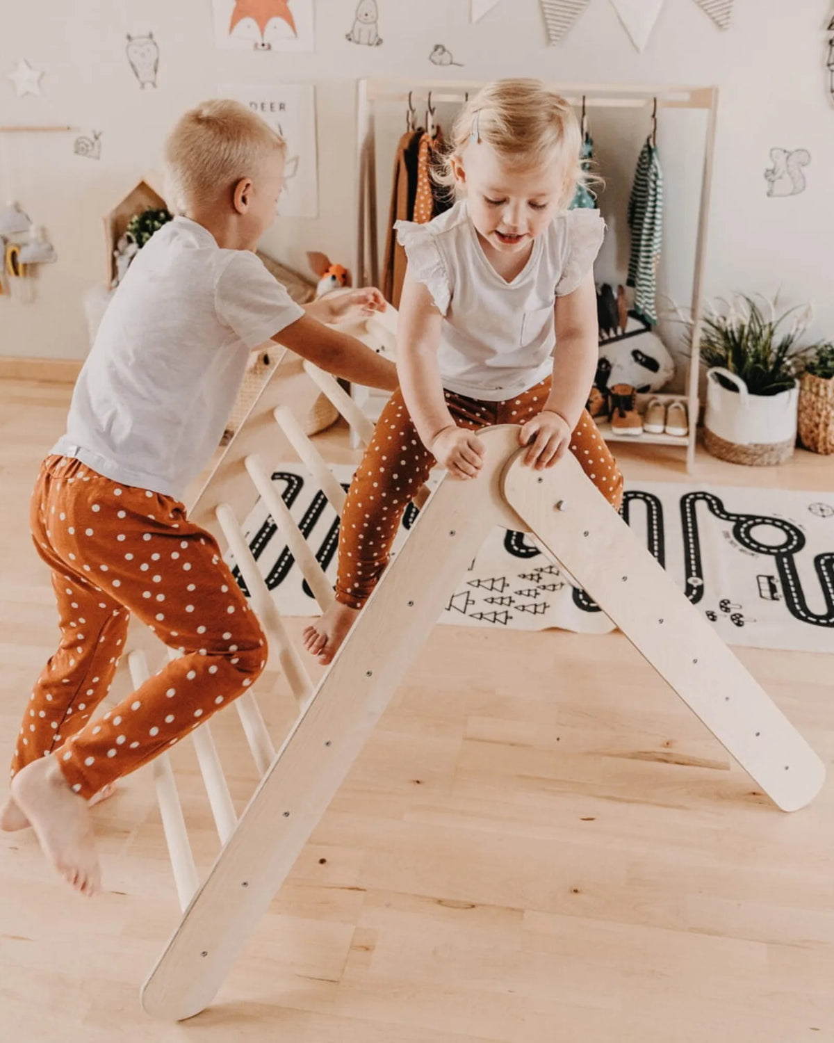 Triangle de Pikler Pliable – Classique | Montessori House Bed