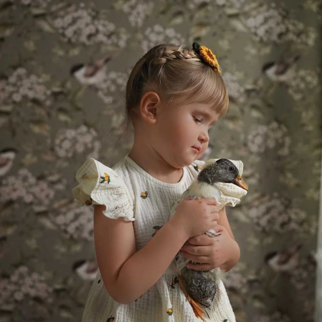 Papier Peint Printemps Vert et Oiseaux