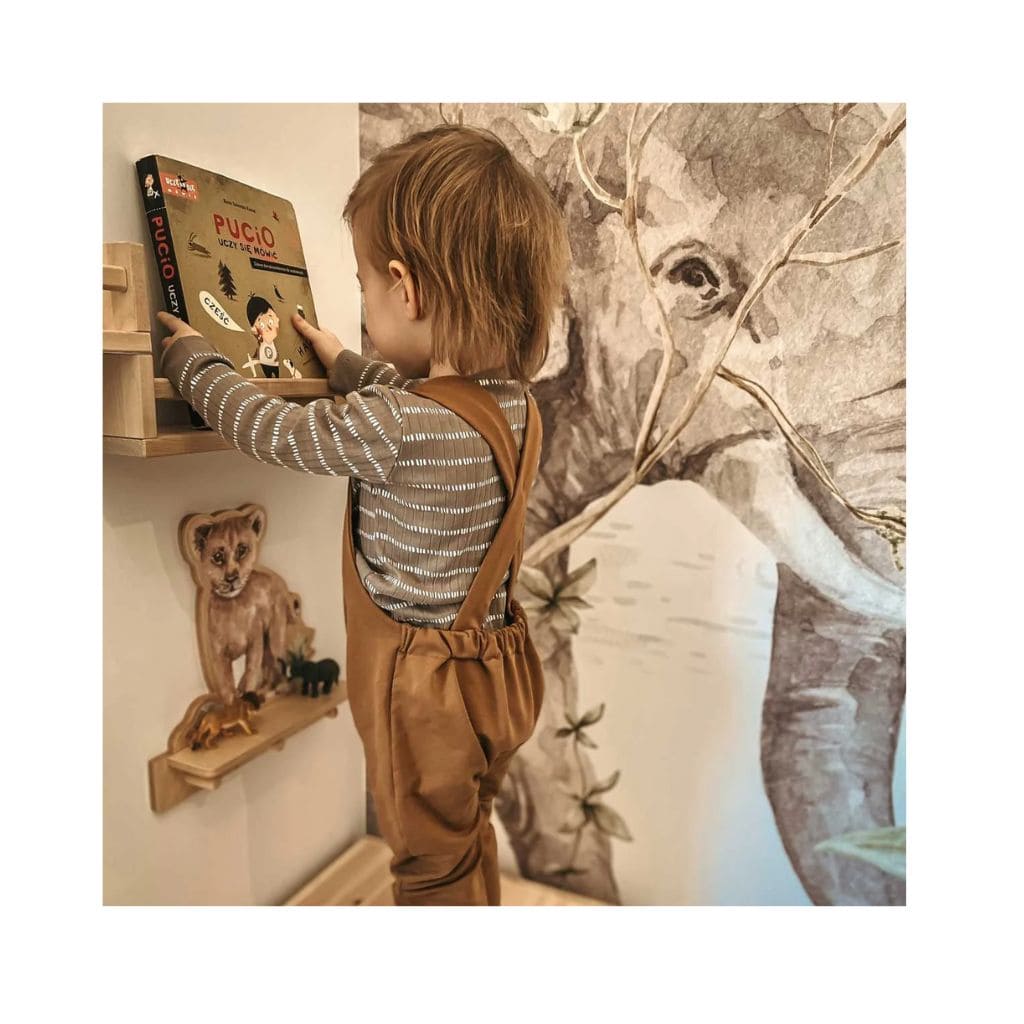 Mini Étagère Murale Lion